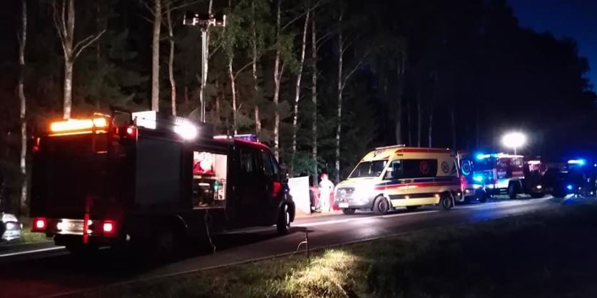 Tata poszedł zobaczyć, w jakim stanie jest potrącone niechcący zwierzę. Niestety, już nie wrócił do auta