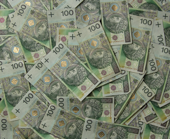 Polska straciła 53 miliardy dolarów. System chroniący przed transferem dochodów nie działa.