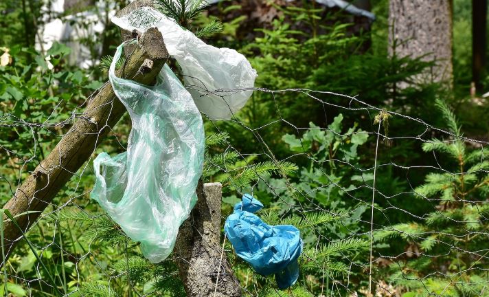 Jesteście za podniesieniem kar za zaśmiecanie lasów i łąk?