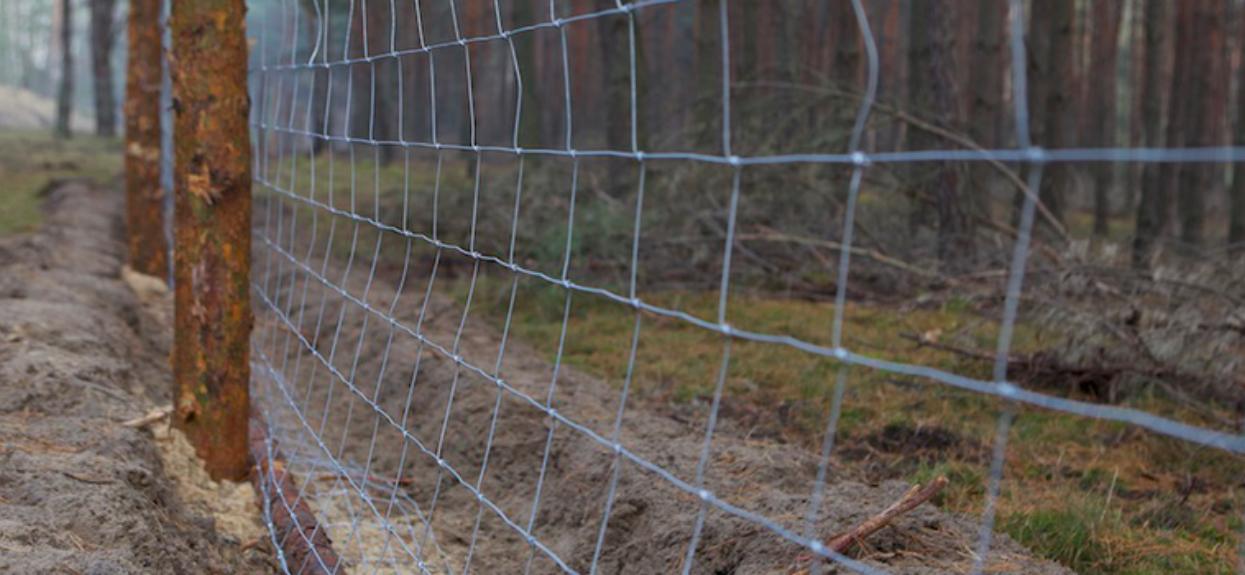 Jedno z polskich województw zostanie odgrodzone 100-kilometrowym płotem. Powód jest poważny