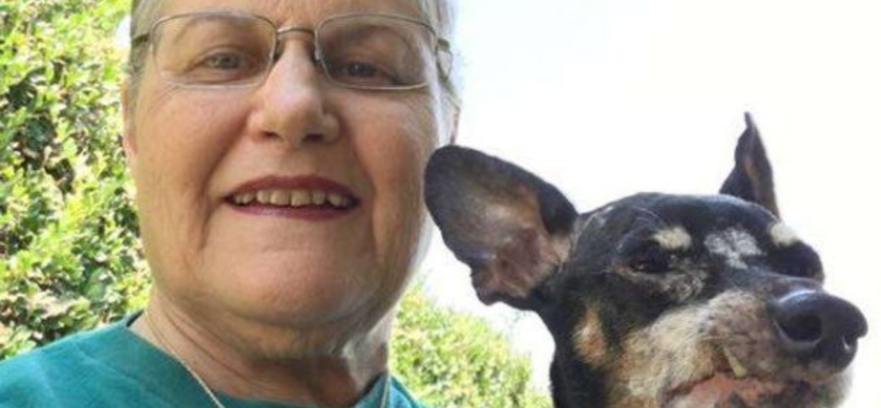 Babcia przygarnęła najstarszego i najbrzydszego psa. Powód decyzji zwala z nóg