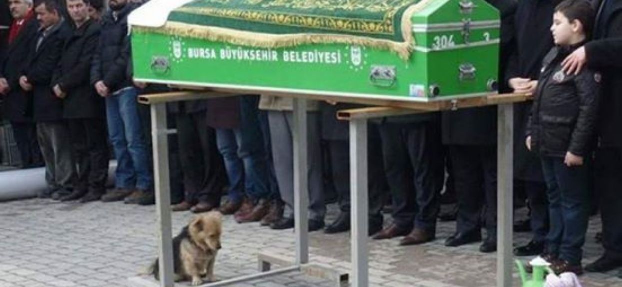 Pies podczas pogrzebu nie chciał odejść od trumny swojego pana. Po ceremonii zrobił rzecz, która powaliła wszystkich na kolana