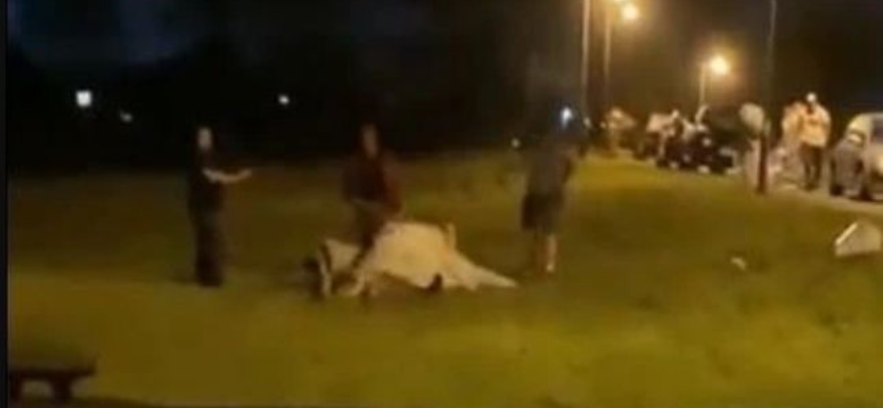 Gdyby nie nagranie, nikt by im nie uwierzył. Przechodzi ludzkie pojęcie, co panna młoda zrobiła na swoim weselu
