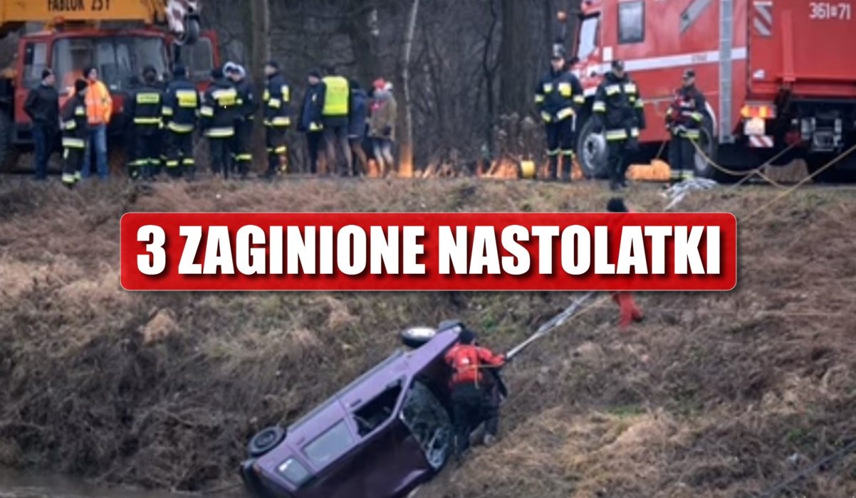 Niewiarygodne. Przyjaciele kierowcy szokują: "On tego chciał"