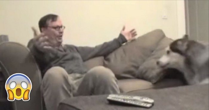 To co ten pies robi każdej nocy, gdy jego właściciel wraca do domu jest niesamowite (VIDEO)