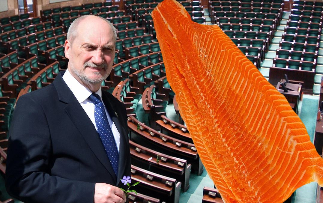 Macierewicz ripostuje krytykom... obrażając ich w wierszu o łososiach!