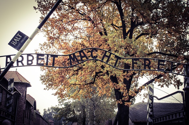 Zraszacze wody w Auschwitz jak komory gazowe. Żydowscy turyści oburzeni