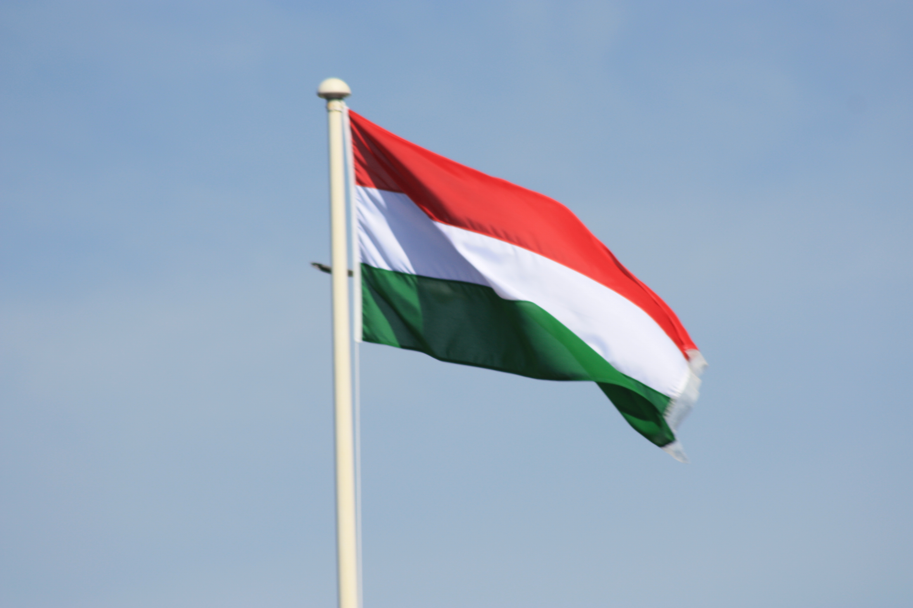 Węgry: Demonstracja poparcia dla uchodźców
