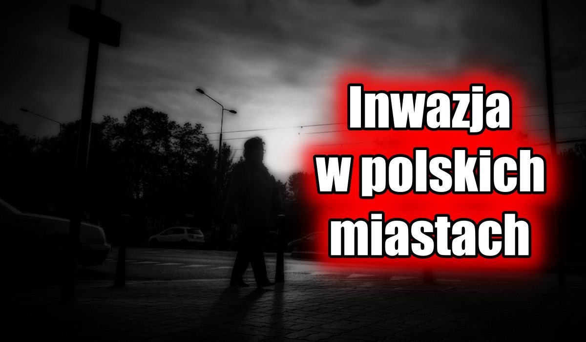 Inwazja w polskich miastach. Choroby i pożary to ich wina