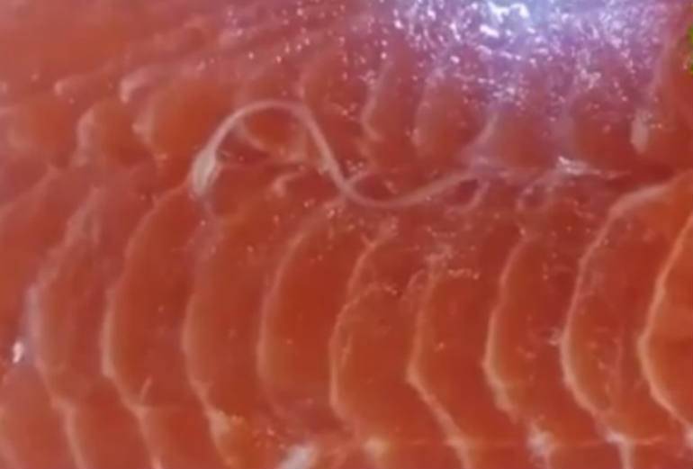Obrzydliwe nagranie. Tasiemiec pełza po łososiu w dużym hipermarkecie