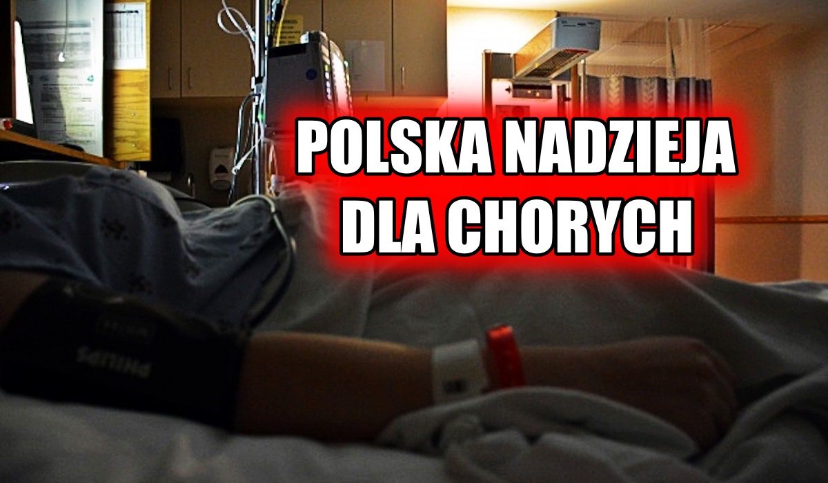 Lekarstwo na raka tuż pod nosem. Ten grzyb z Polski niszczy nowotwór