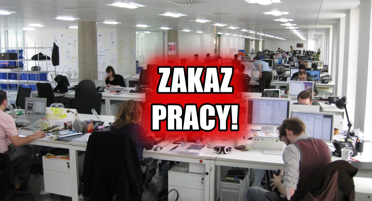 Paranoja! PiS wprowadzi ZAKAZ... pracy dla tych ludzi