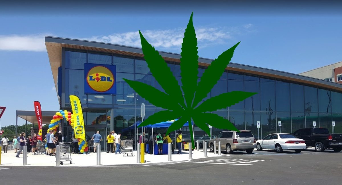 LIDL rozpoczyna sprzedaż marihuany. Jest tylko jeden haczyk