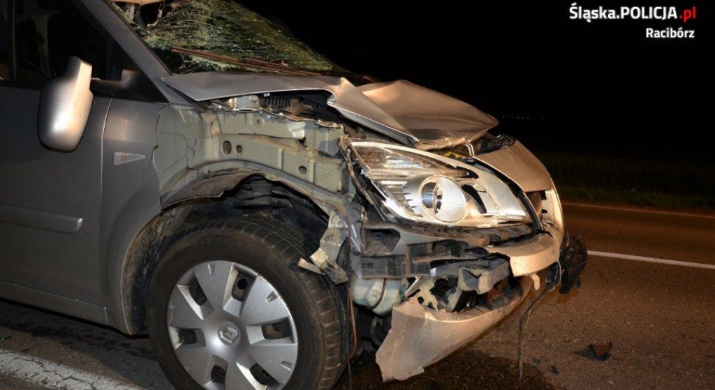TO ON ZABIŁ! Trwa przesłuchanie, policja robi co może
