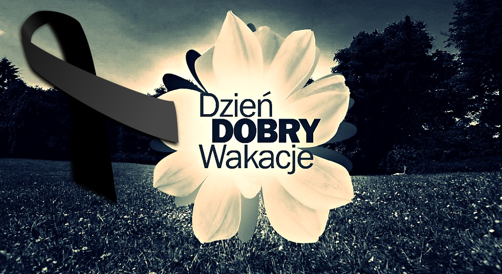 "Niestety, nie udało mu się przeżyć". Smutne informacje w Dzień Dobry Wakacje