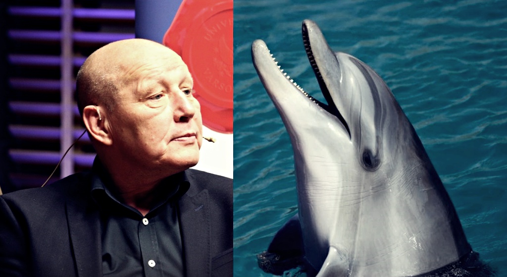 Zaskoczenie na mundialu! Delfin upokorzył Jackowskiego, kompromitacja polskiego jasnowidza