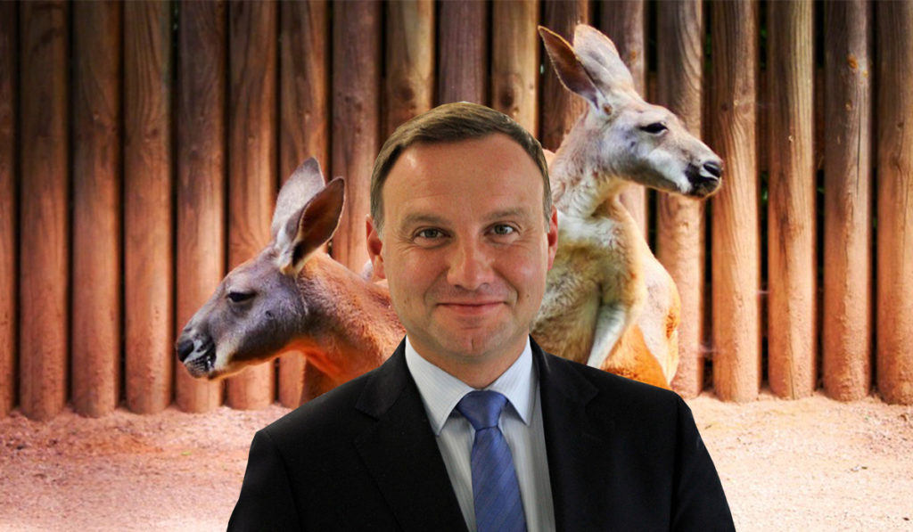Duda spotka się z kangurami? Politycy w Australii nie chcą go widzieć
