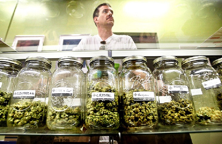 Legalna marihuana przeszkadza meksykańskim kartelom