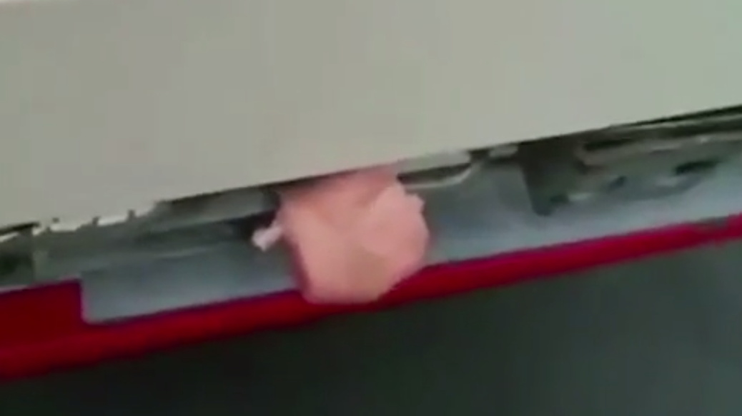 Kierowca zabezpieczył ciężarówkę świńskim mięsem (video)