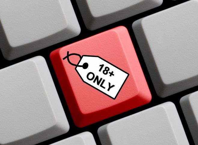 Sejm nie zajmie się w tej kadencji blokowaniem pornografii w internecie