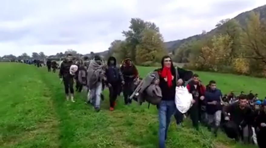 Imigranci z Turcji uciekali przed Strażą Graniczną. Dachowało BMW z... 13 osobami