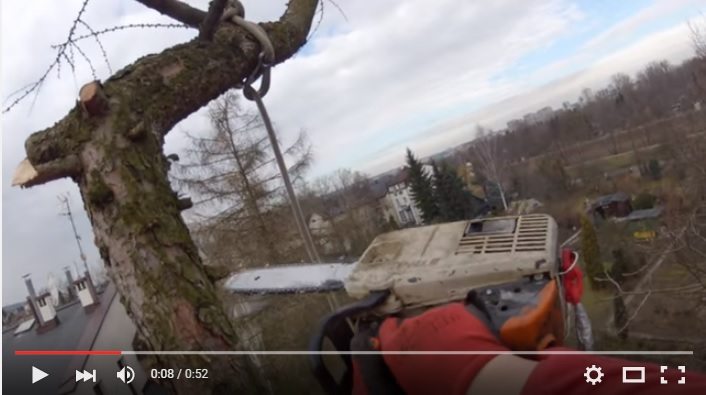 Członek Partii Razem pozdrowił prawicę z... drzewa (video)