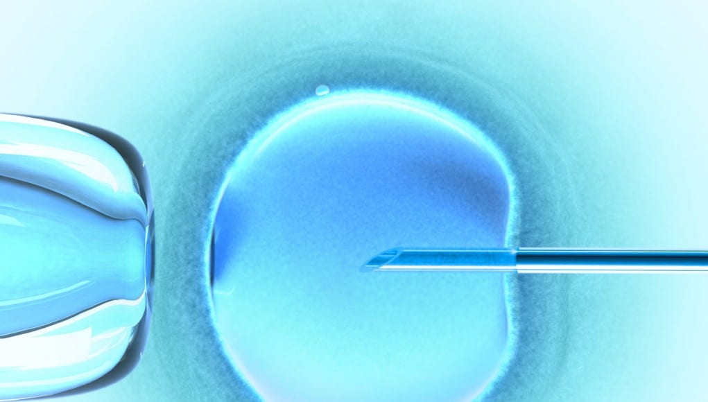 Wrocław dofinansuje in vitro. "Jesteśmy za życiem"