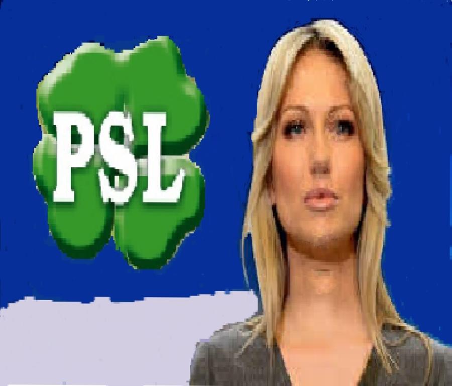 Ogórek i Miller - nowe twarze PSL