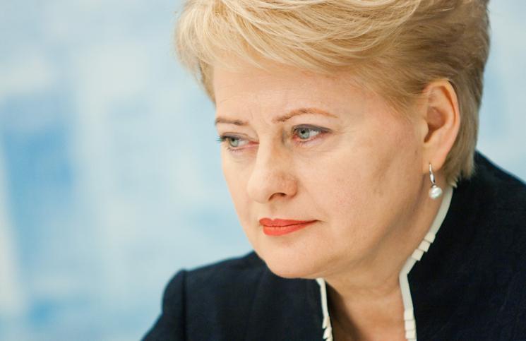 Prezydent Litwy: Dostarczamy Ukrainie broń defensywną