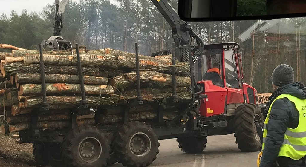 Mamy zdjęcia! Trwa wycinka Mierzei wbrew zaleceniom Unii Europejskiej