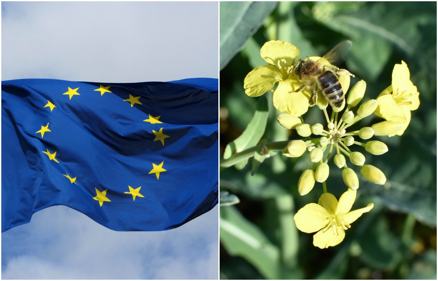 KE pozwała Polskę. Powód: Na produkcji polskich biopaliw zarabiają tylko polskie firmy