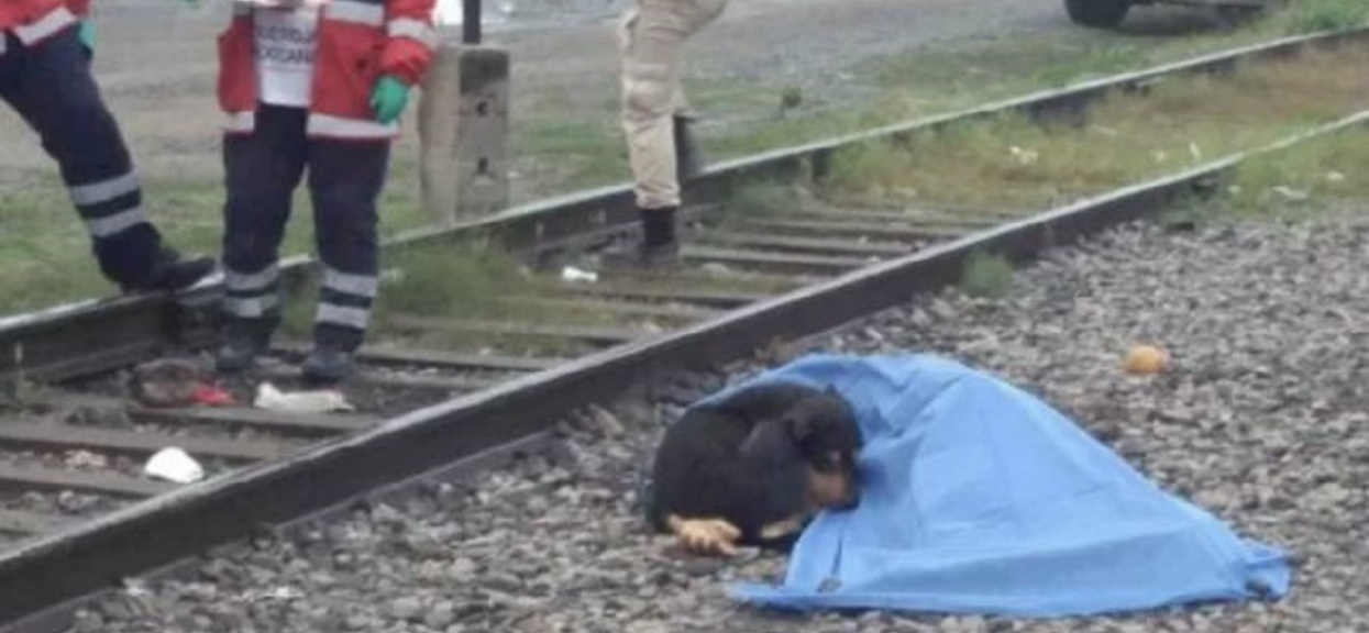 Pies czuwał przy zwłokach swojego pana. Kiedy policja próbowała go zabrać, wściekł się