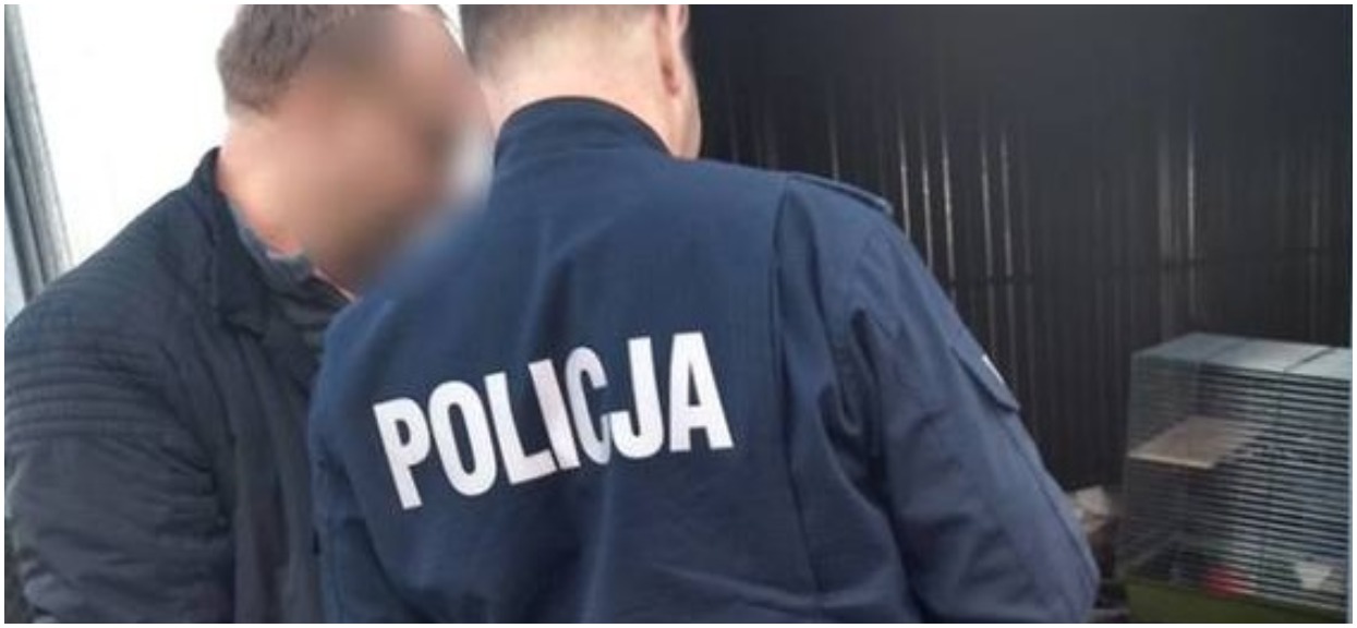 Zwierzęta zdychały z głodu, przeżył tylko pies. Przerażające zdjęcia