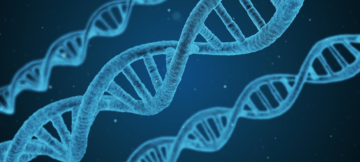 Kiedy jest Dzień DNA i co się wtedy świętuje?