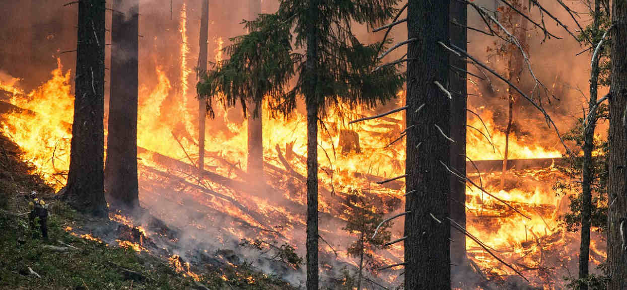 Na północy Europy rozpętało się piekło. Lasy płoną, setki ludzi uciekają