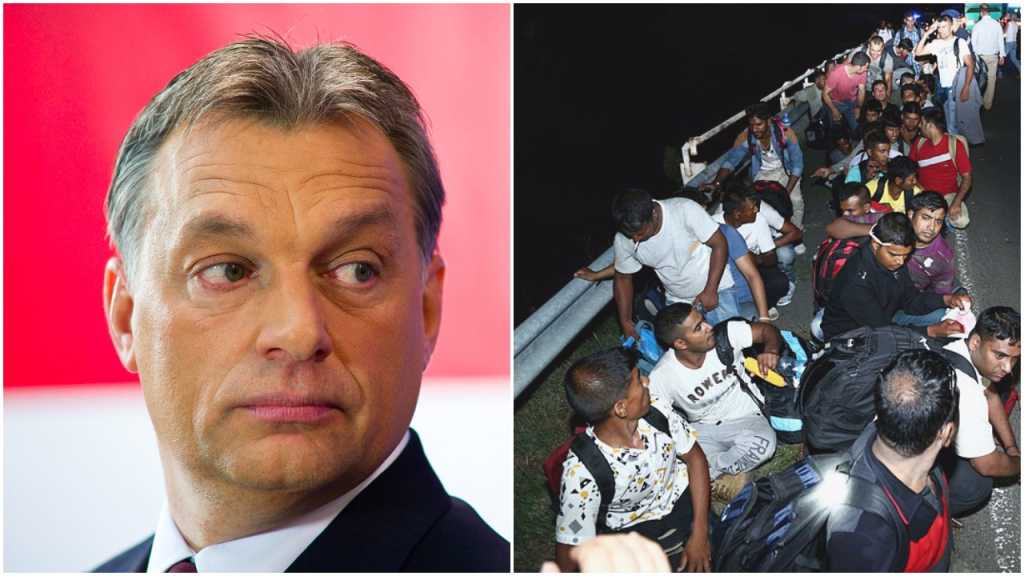 Zwrot akcji na Węgrzech. Referendum ws. imigrantów zostanie unieważnione