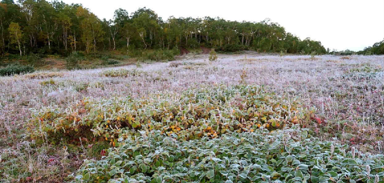 TVN ostrzega Polaków, może być niebezpiecznie. Temperatura spadnie do -5 stopni