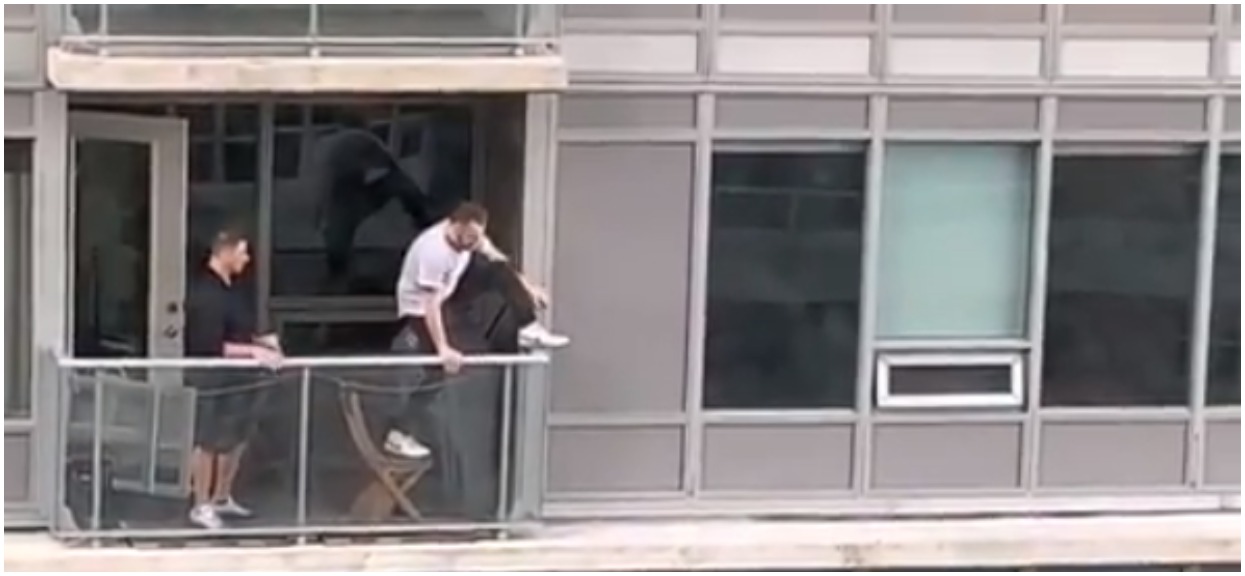 Kot uciekł przez okno na balkon sąsiadów. Właściciel naraził życie, aby odzyskać swojego zwierzaka (Video)