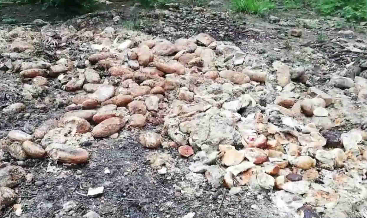 Śląsk: Tona chleba w lesie. "Bo przekazanie głodnym to przestępstwo"