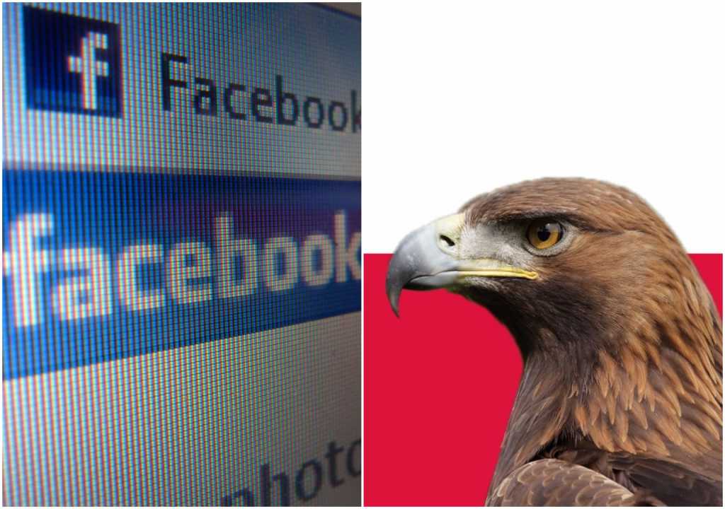 Wkurzeni narodowcy założyli swojego Facebooka. Nazwa nieco dziwi