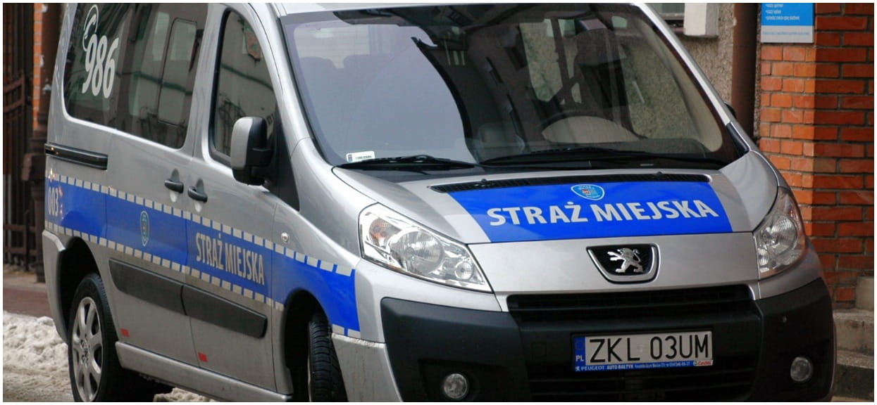 Co za bubel prawny! Mandaty od straży miejskiej mogą być nieważne