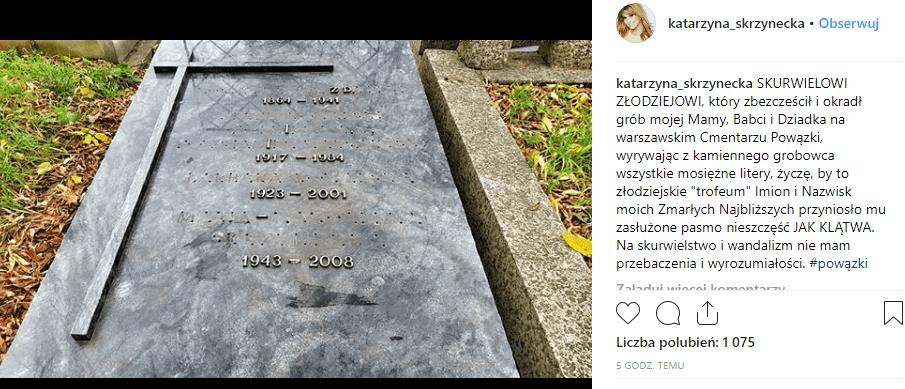 katarzyna skrzynecka polsat
