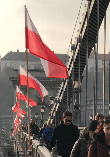 MSZ