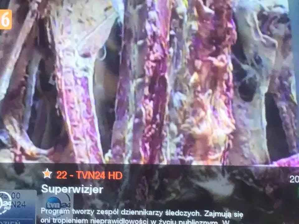 tvn pikio.pl